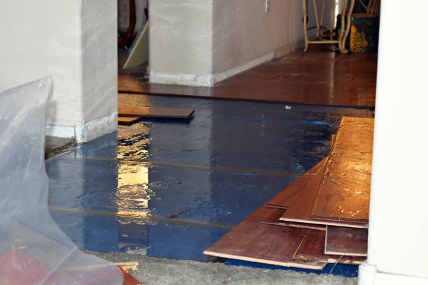 Professional Flood Cleanup technician working in Larsen, WI